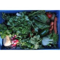 COOKIES CHOCOLAT (5 Pièces)