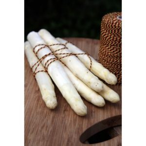 Asperge blanche
