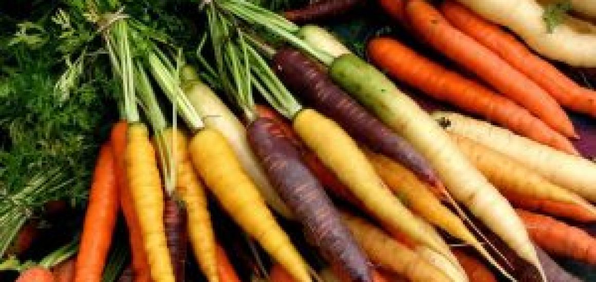 23654-jaune_blanche_rouge_et_violette_decouvrez_les_varietes_oubliees_de_la_carotte_2