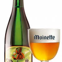 DUPONT MOINETTE 33cl