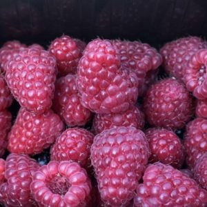 Framboise.jpg