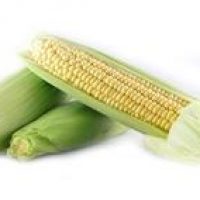 MAÏS DOUX CUIT SOUS VIDE